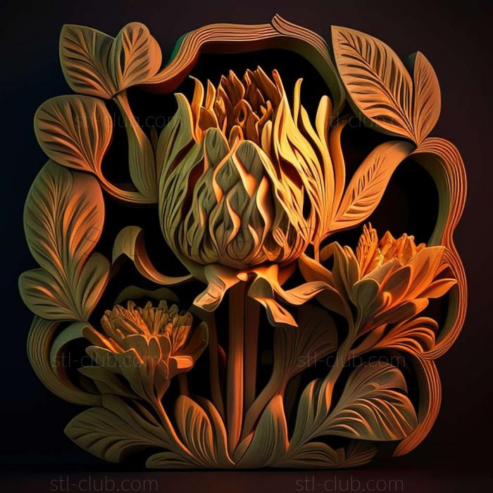 torch ginger